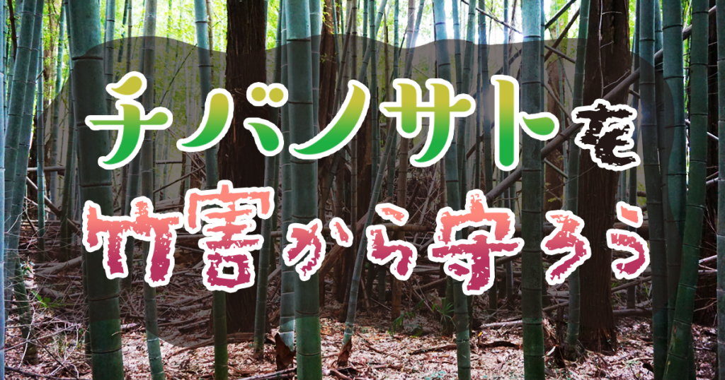 チバノサトを竹害から守ろう！