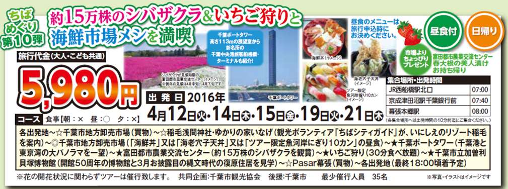 15万株のシバザクラ＆いちご狩りと海鮮市場メシを満喫