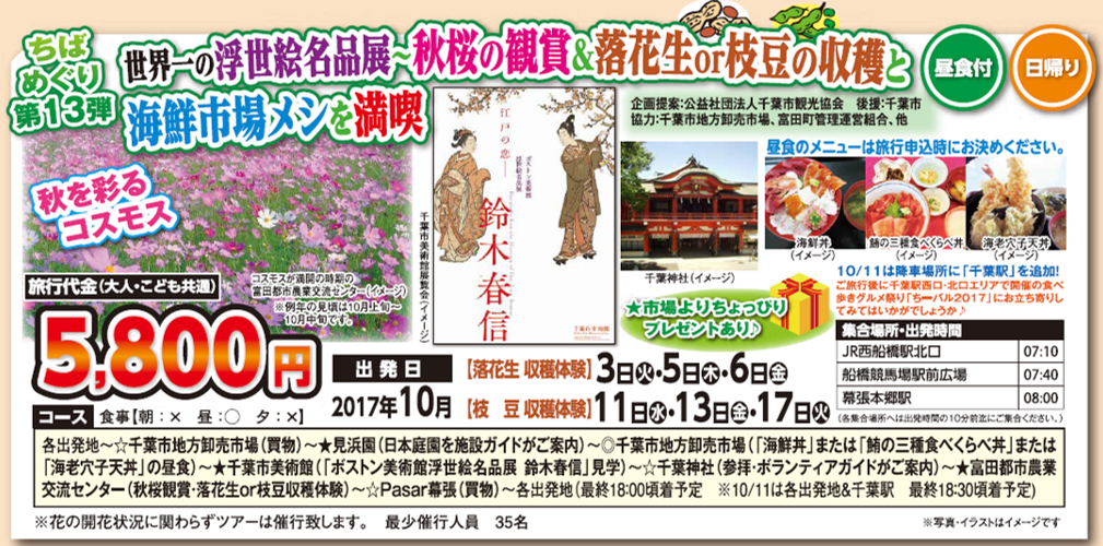 世界一の浮世絵名品展～秋桜の観賞＆落花生or枝豆収穫と海鮮市場メシ満喫～