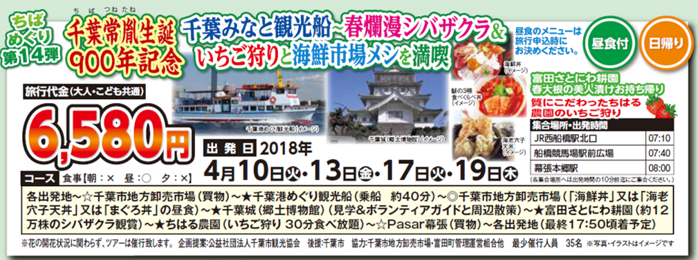千葉常胤生誕900年記念 千葉みなと観光船～春爛漫シバザクラ＆いちご狩りと海鮮市場メシを満喫～
