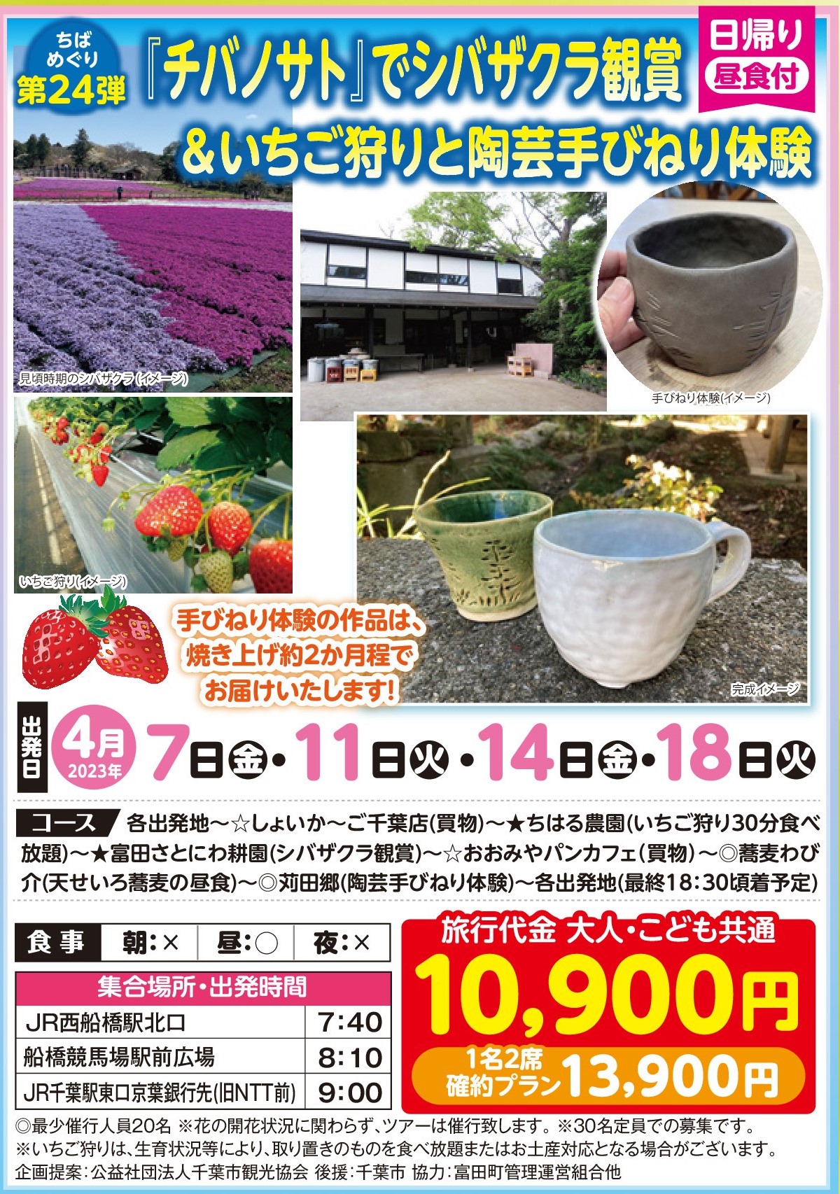 春の千葉めぐり 『チバノサト』でシバザクラ観賞＆いちご狩りと陶芸手びねり体験