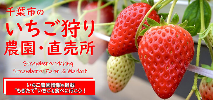 イチゴ農園に行こう!2024