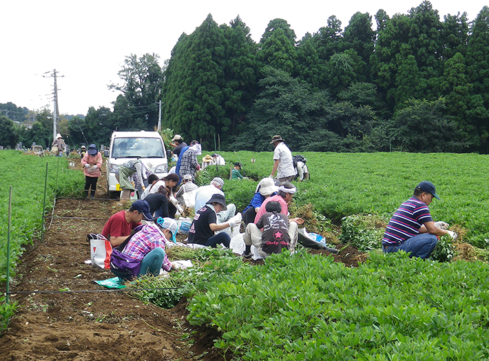 富田さとにわ耕園