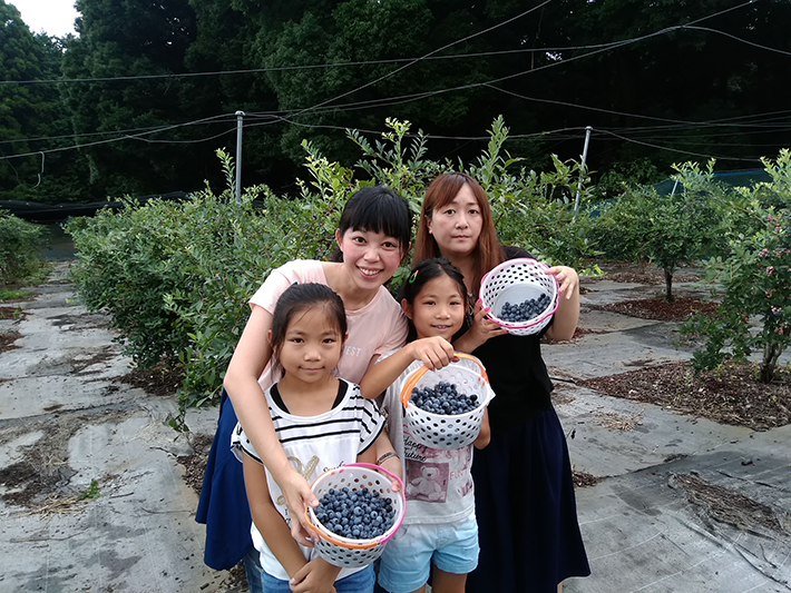 ドラゴンファーム