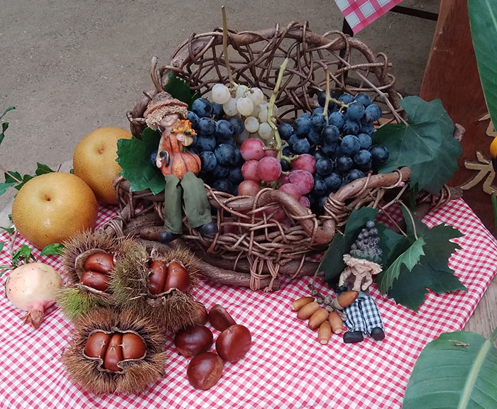 千葉中央観光農園