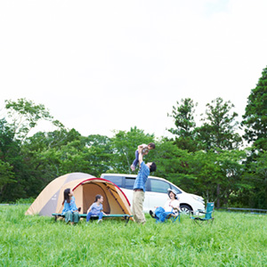 ふれあいコース