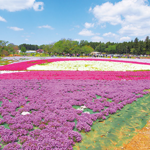 富田さとにわ耕園