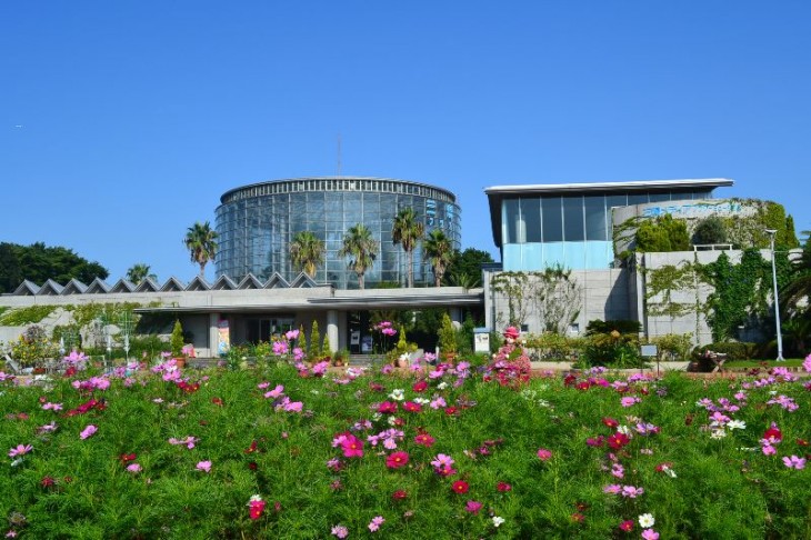 ????????????????????????????????????