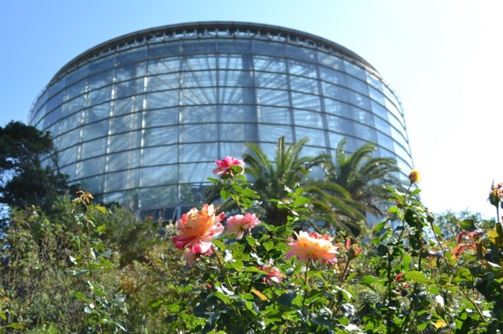 ????????????????????????????????????