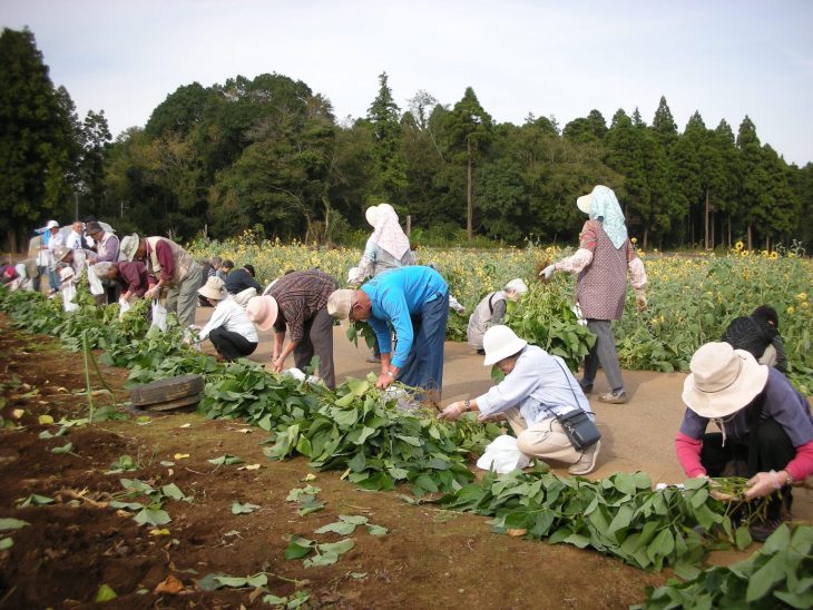 %e5%8f%8e%e7%a9%ab%e4%bd%93%e9%a8%934%ef%bc%88%e7%b8%ae%e5%b0%8f%ef%bc%89