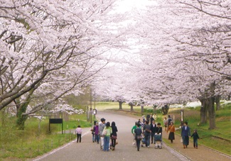 千葉県立青葉の森公園