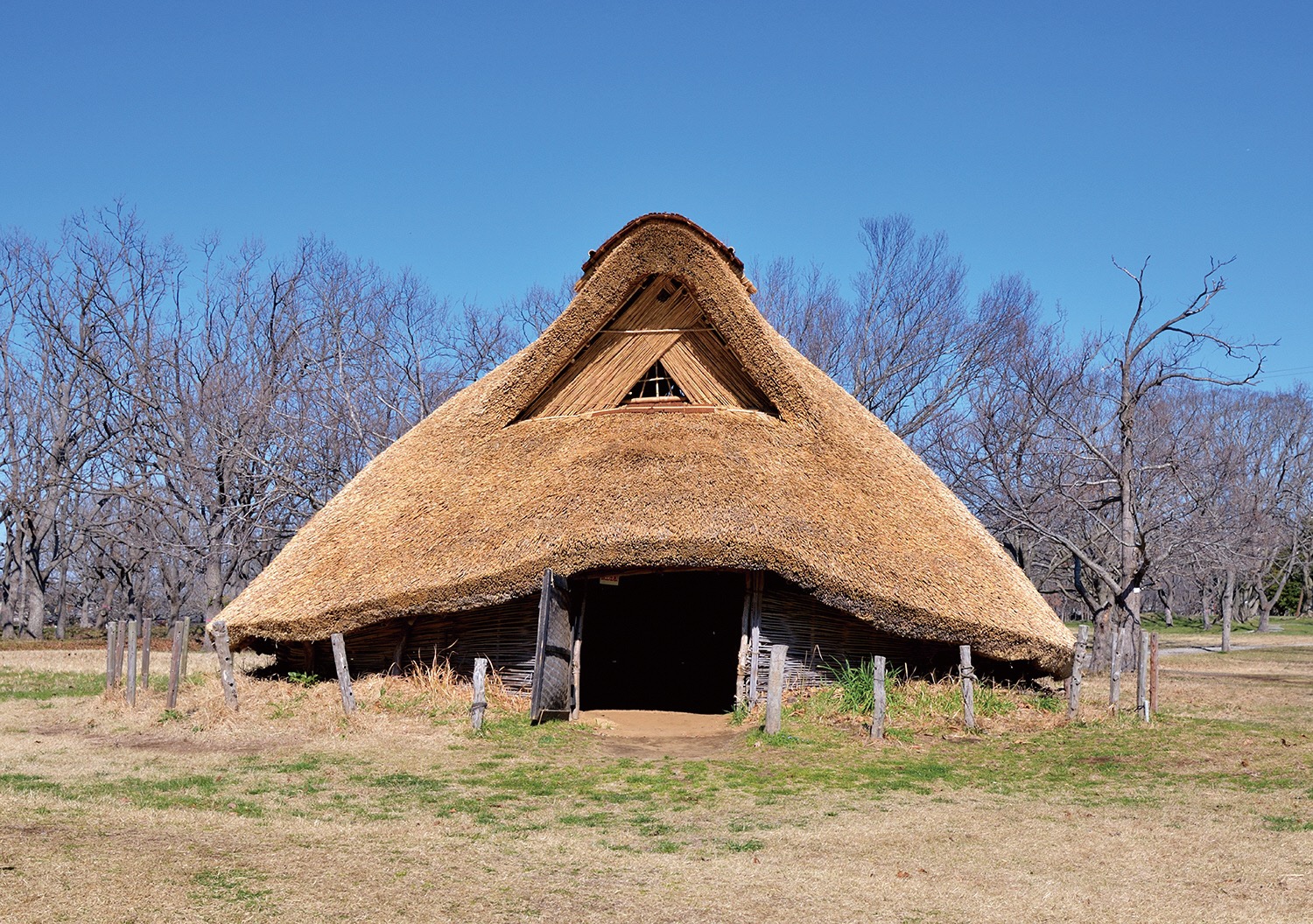 千葉市立加曽利貝塚博物館