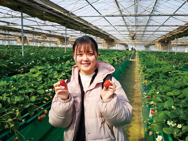 フルーツランドとけ 観光いちご園 エーアト・ベーレ