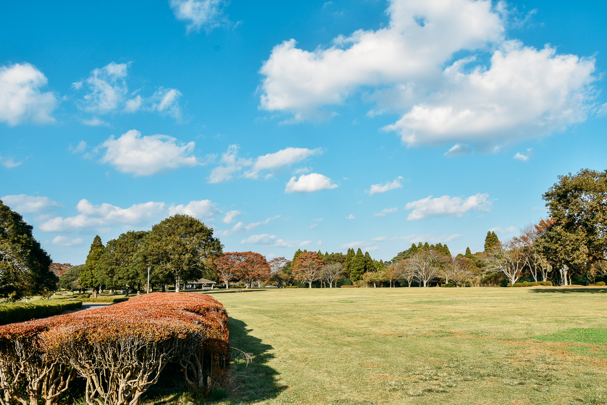 昭和の森でピクニック