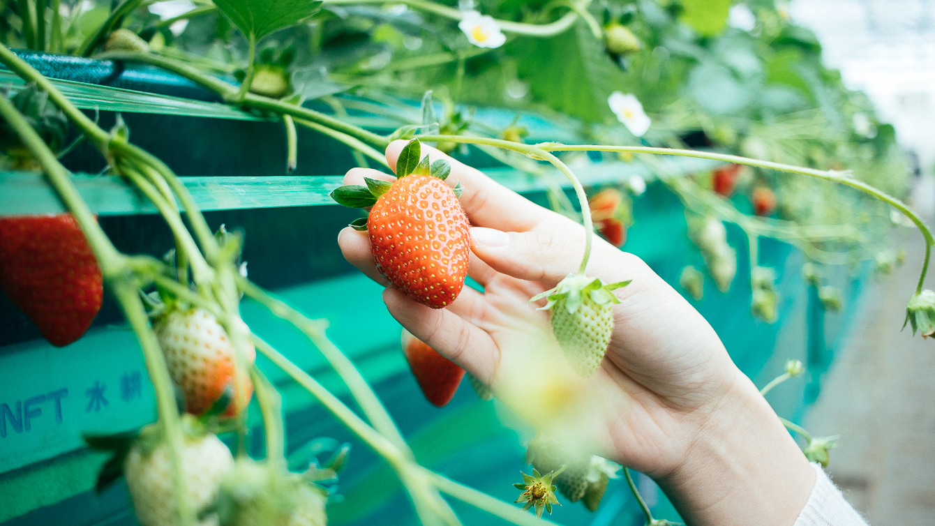 エーアトベーレ