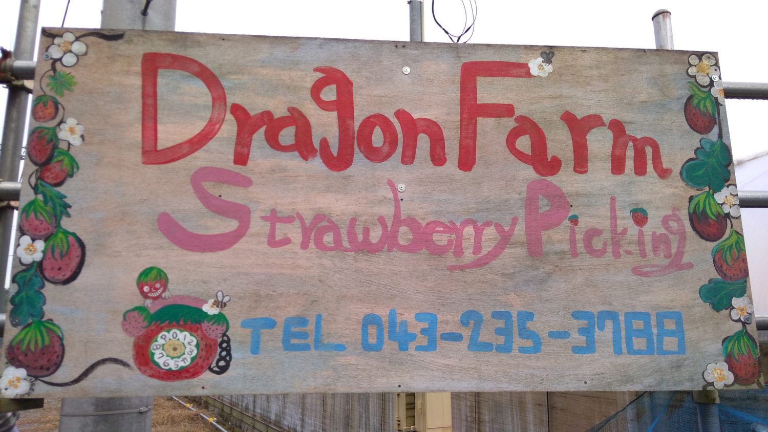 ドラゴンファームの看板