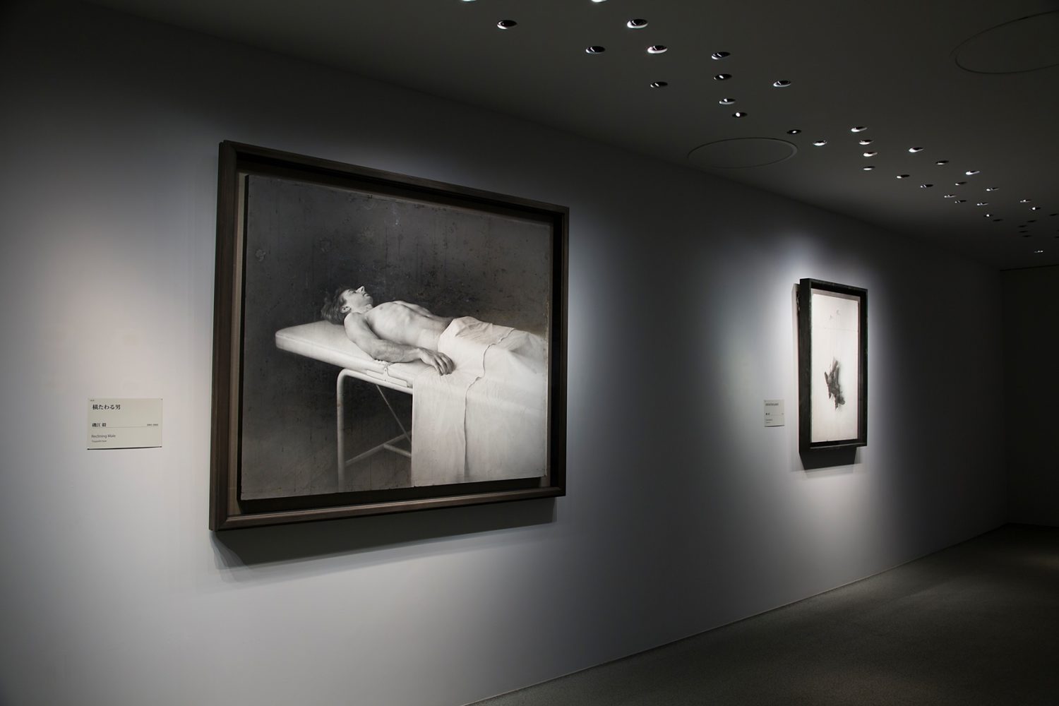 ホキ美術館の作品の写真