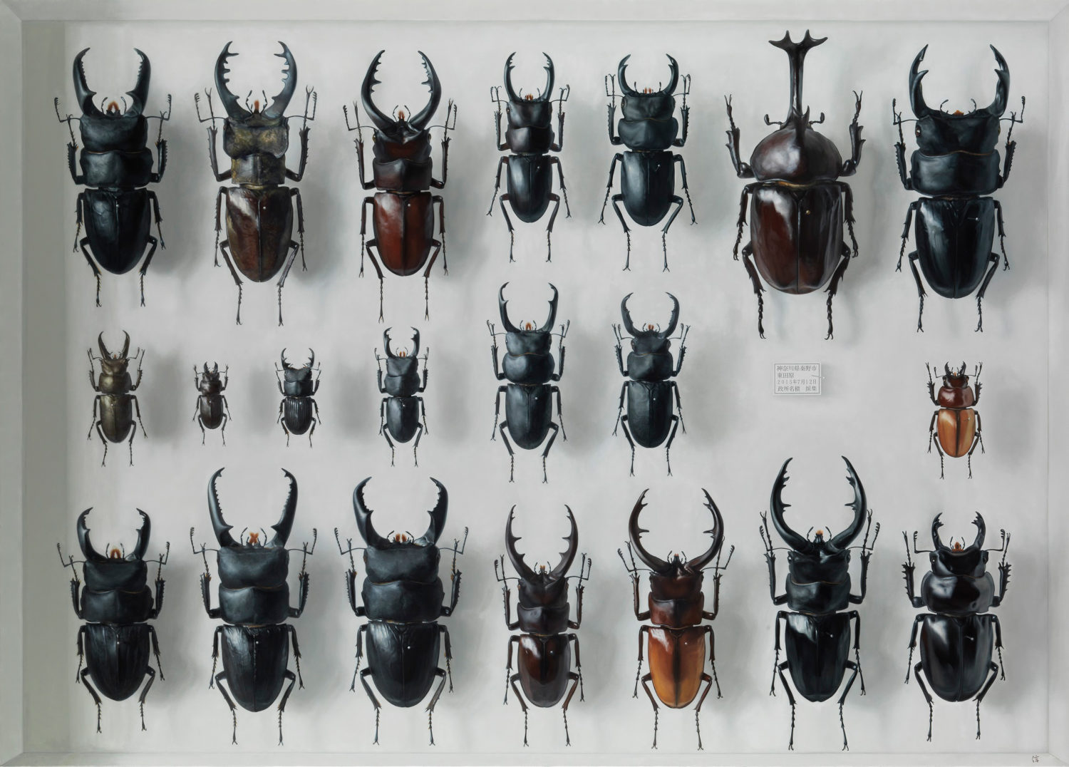 ホキ美術館の作品の写真