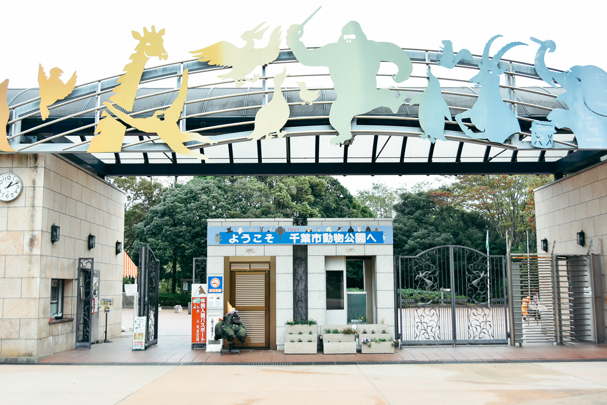 千葉市動物公園のエントランス