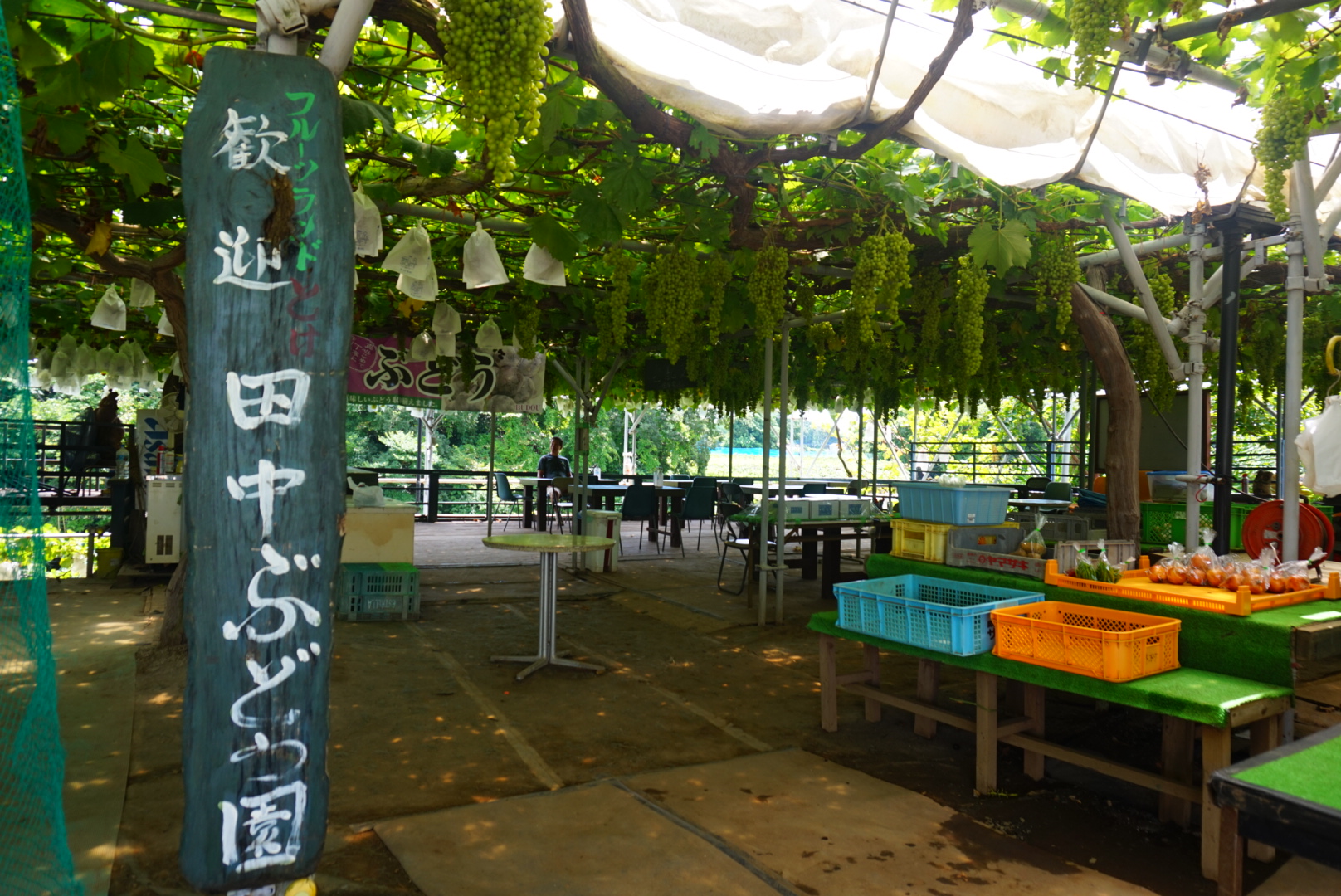 フルーツランドとけ 田中ぶどう園