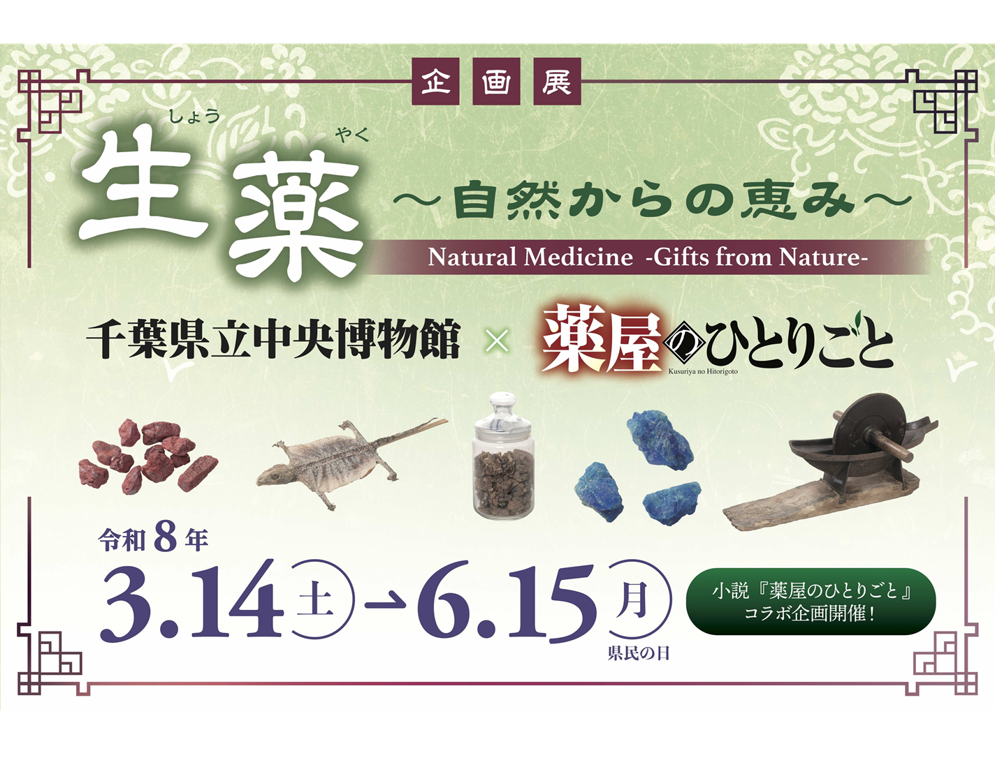 企画展  生薬〜自然からの恵み〜 千葉県立中央博物館×薬屋のひとりごと