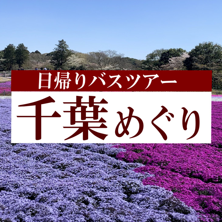 日帰りバスツアー 千葉めぐり