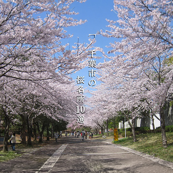 桜スポット開花速報