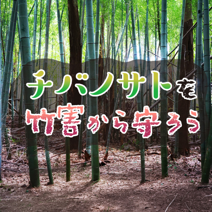 チバノサトを竹害から守ろう