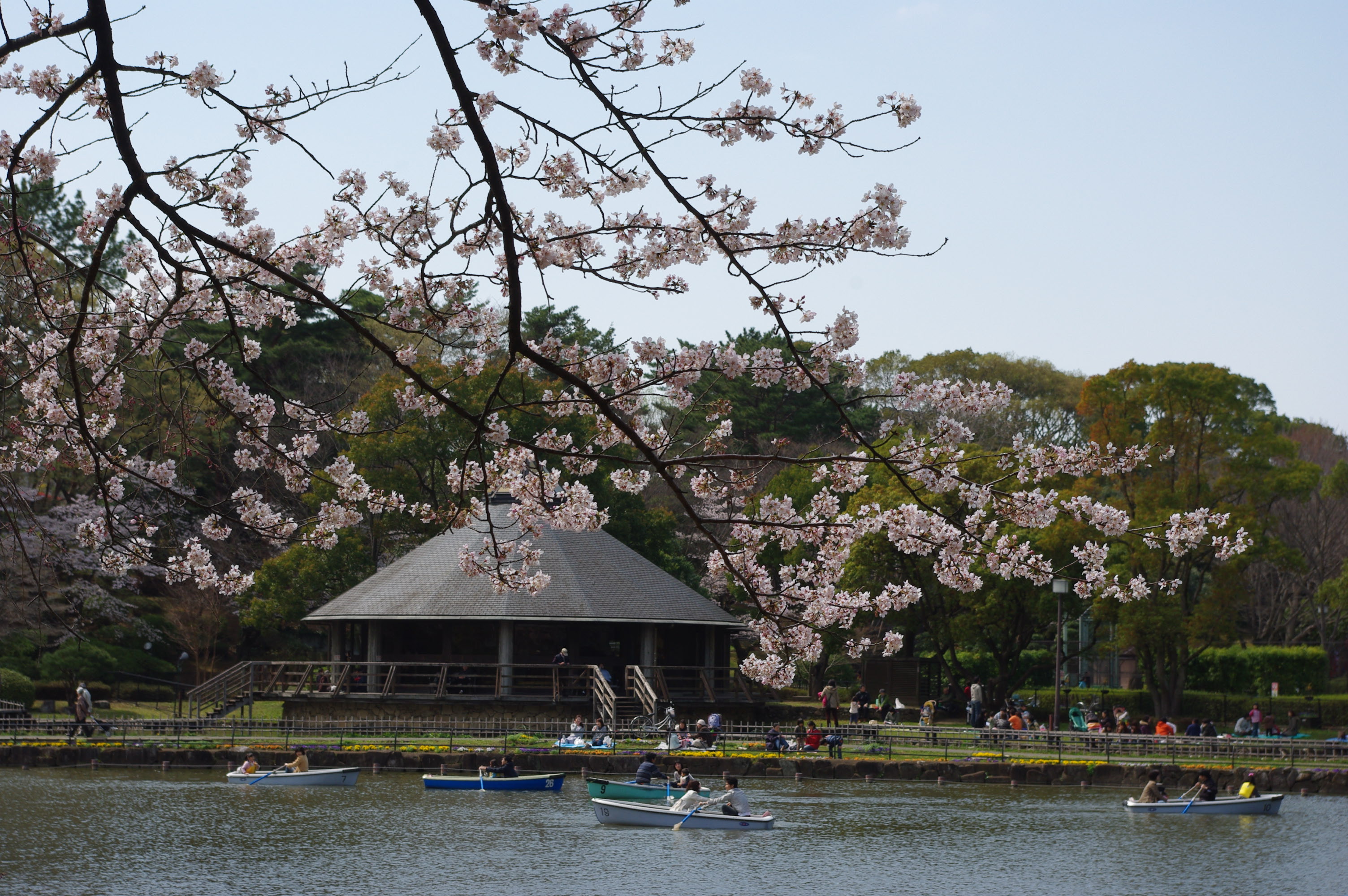 千葉公園 千葉市観光協会公式サイト 千葉市観光ガイド