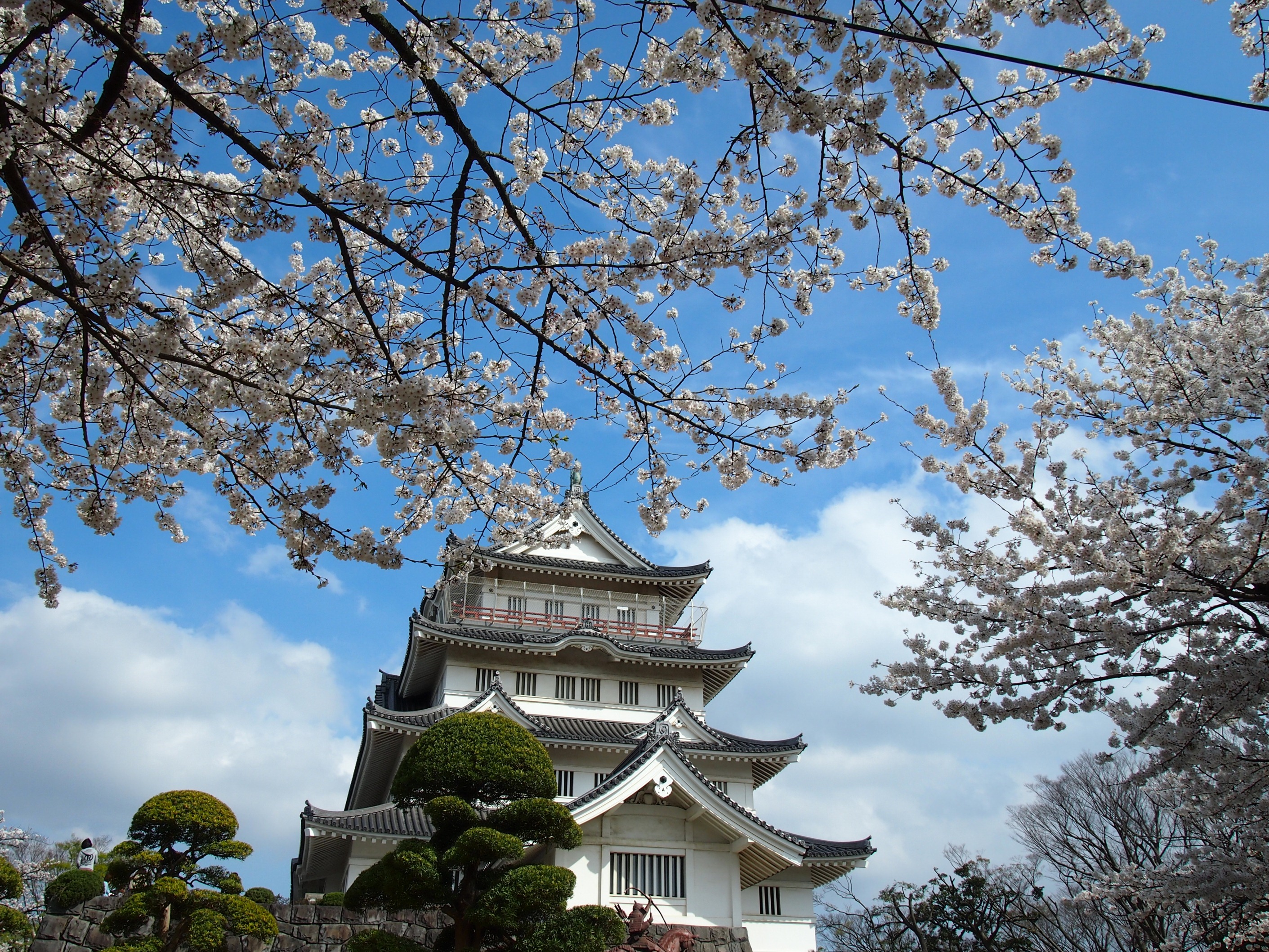 千葉市立郷土博物館 千葉市観光協会公式サイト 千葉市観光ガイド