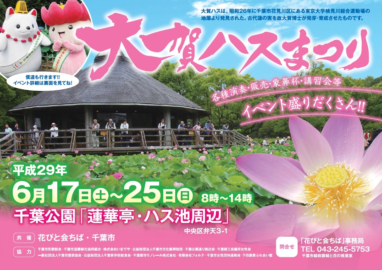 大賀ハスまつり 千葉公園 6 17 土 25 日 千葉市観光協会公式サイト 千葉市観光ガイド