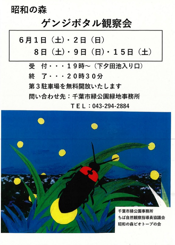 昭和の森ゲンジボタル観察会 昭和の森 花菖蒲園付近 6 1 土 6 2 日 6 8 土 9 日 15 土 千葉市観光協会公式サイト 千葉市観光ガイド